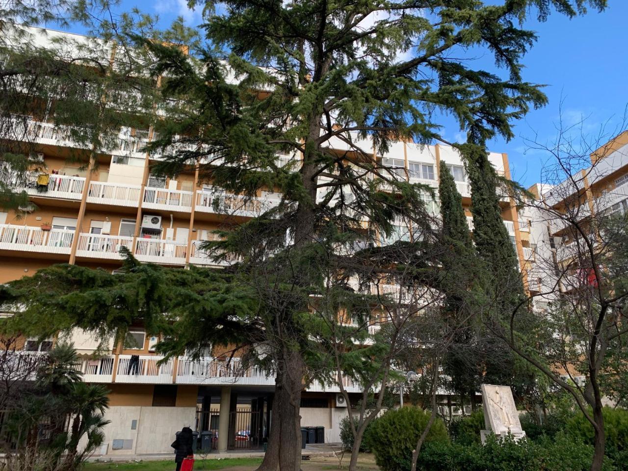 Agora B&B Urban Relais Canosa di Puglia Exteriér fotografie